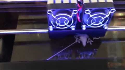 Makerbot replicator 2X