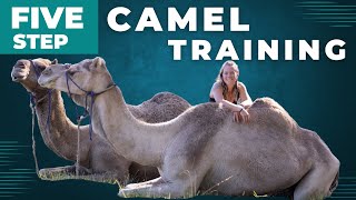 How To Train a Camel