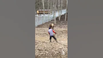 поймали быка!!! ж