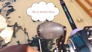 ตกปลาช่อน EP8 คัน ul จากจีนจะรอดหรือร่วง