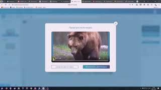 : WebAR Studio -    