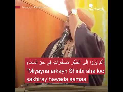 بوب جون الداعية المسلم الذي كان مغني راب بأمريكا