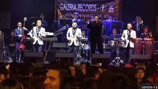 Video thumbnail of "Tu Retrato - Mirame un poquito más / Gustavo Velásquez feat SANTANA INTERNACIONAL🔴 en vivo"