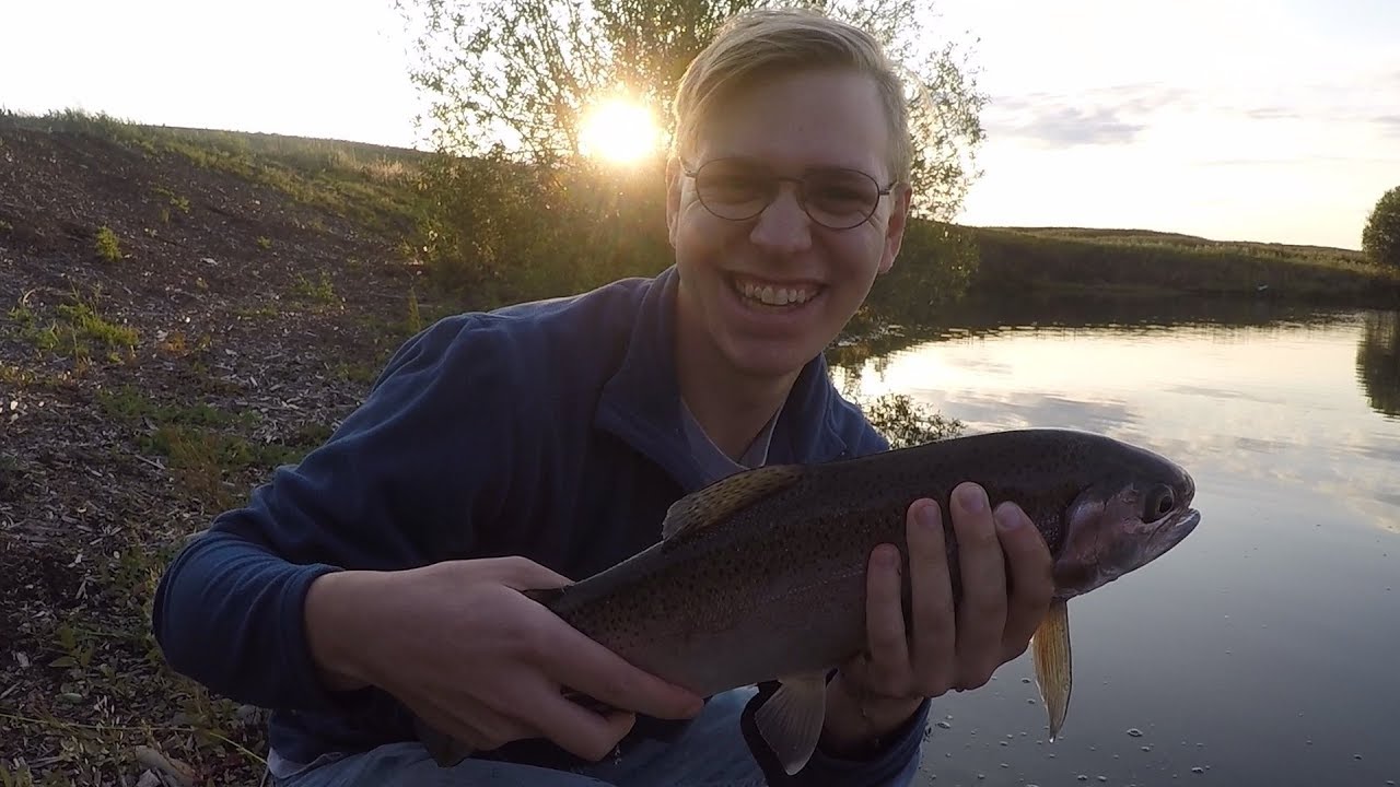 Best Time to Trout Fish!?! YouTube