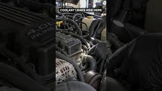 Buying or Fixing a Jeep TJ? Use This Field Guide #Shorts @Gen3AntiqueAuto