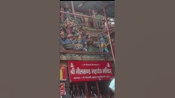 neelkanth mahadev 🙏🙏🙏🙏🙏#shortvideo #mahadev#mtdamini