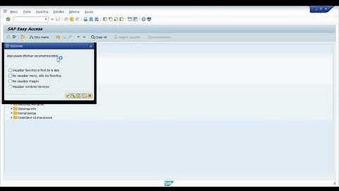 Truco SAP N°1   Visualizar transacciones