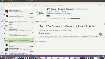 How To Install/View Azure Data Studio on Ubuntu 18.04
