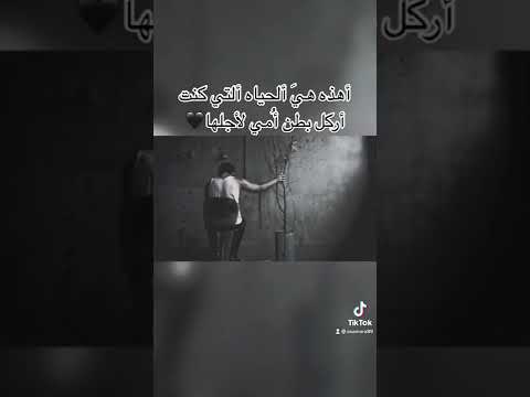 نور الدين الطيار ساكت