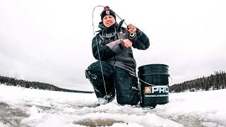 Backcountry Walleye Mission (The Freshest Fish ON ICE)