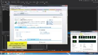 Famous IE11:if DOMStorage enable,WebBrowser Ctrl freeze Wealth