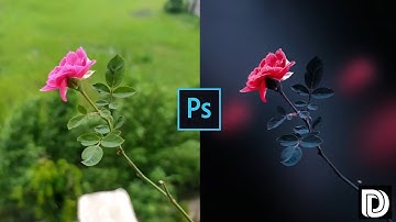 Red Blue Color Grading & Background Blur | Flower & Macro Photography