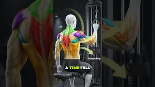 Complete Pull Day Workout | Lats, Upper Back & Biceps