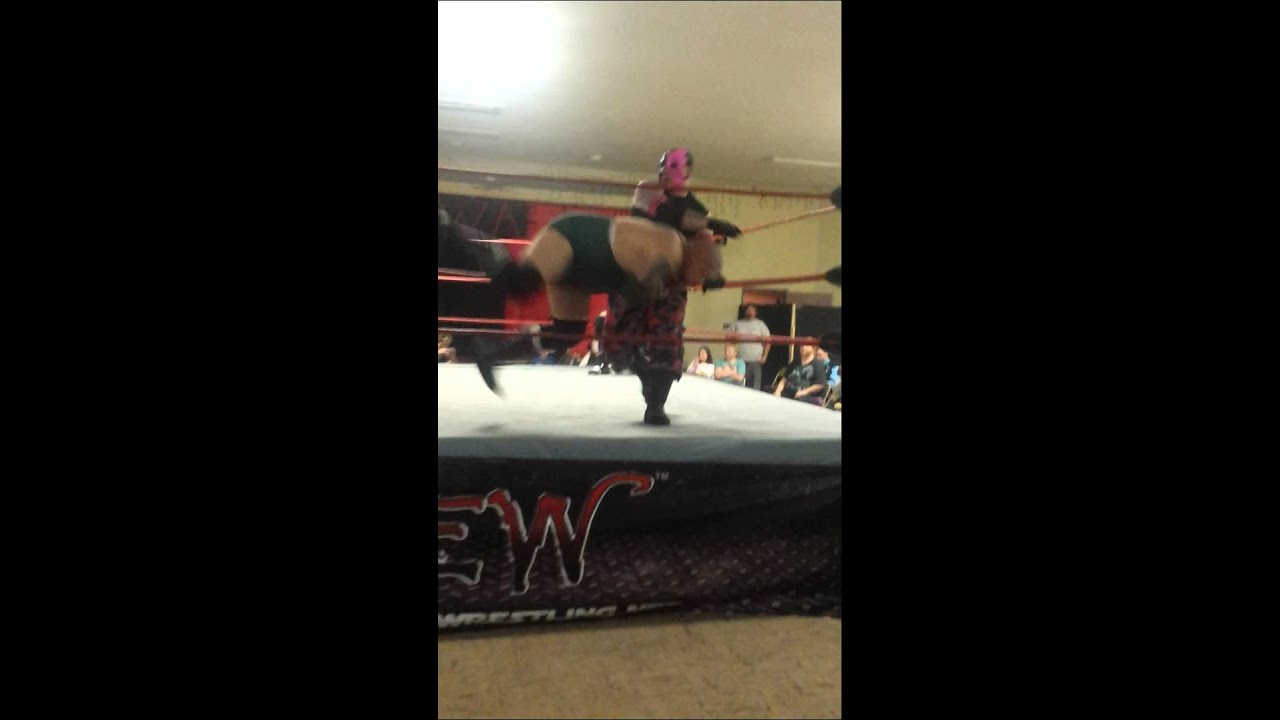 NWA-SEW Superbrawl 2 Citywide Championship