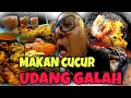 Jarang Jarang ORANG Buat ! CUCUR UDANG GALAH !