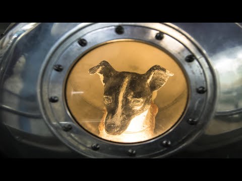 Video: Moskova'da uzay köpeği anıtı dikilecek