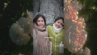 tng Hp  Trn Tiktok Ding Ding U0026 Dang Dangding Dang