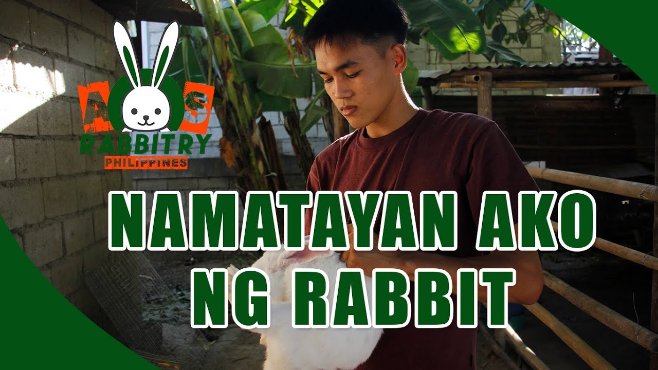 NAMATAYAN AKO NG KUNEHO| Paano ito maiiwasan? | HOW TO PREVENT RABBITS ...