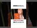 絶滅危惧種を食べたインフルエンサー#雑学 #shorts