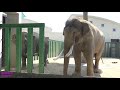 2019.05.13 ズゼ マック みどりちゃんの朝のおやつ