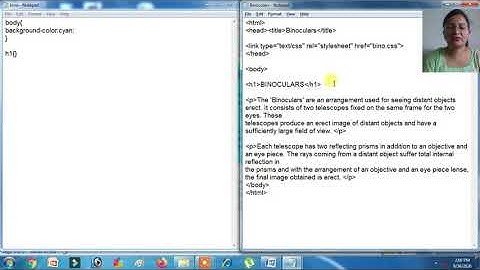 CBSE CA(Computer Application) Class-10 CSS Practical-3 External Styles