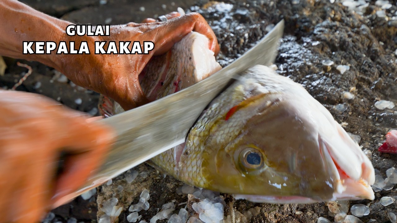 Gulai KEPALA IKAN KAKAP khas Aceh: SIMPEL, ENAK, AUTO NGISI NASI TERUS!