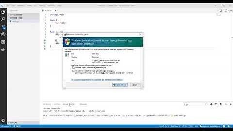 Go Programlama : Go ile ilk Web Sunucuyu Kodlamak