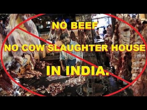 BAN BEEF IN INDIA - YouTube