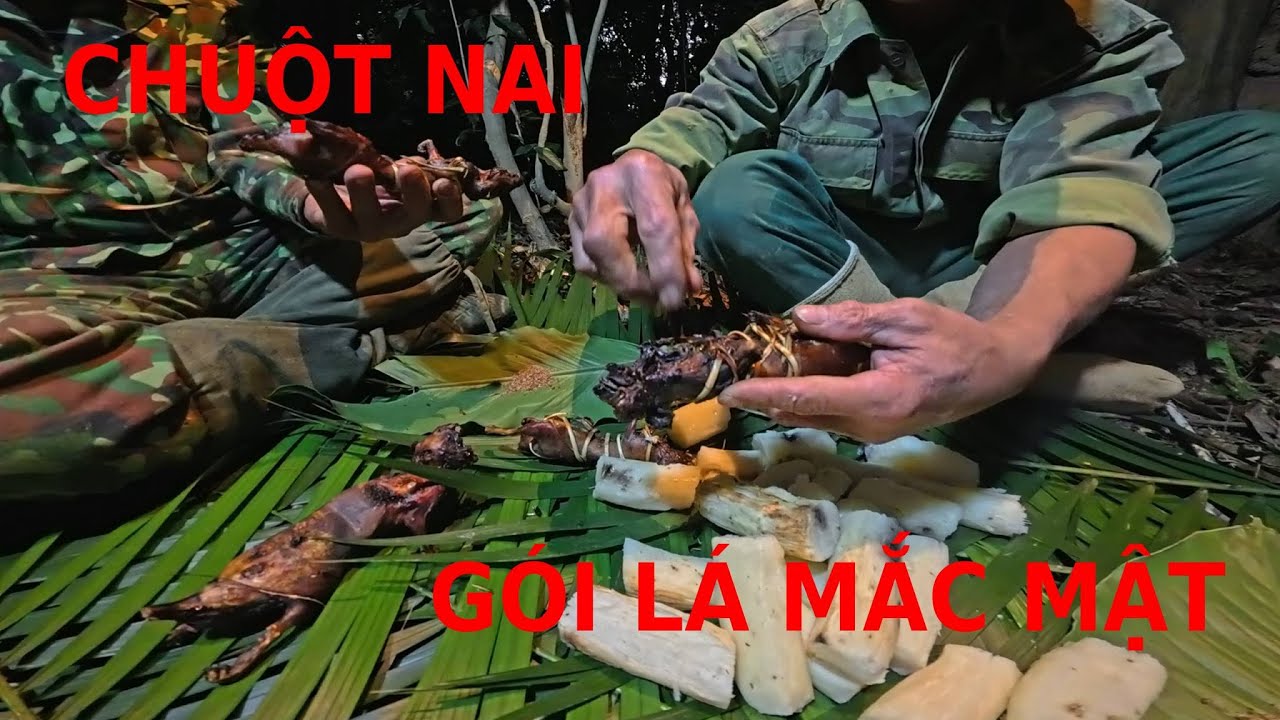 ĐI RỪNG KIẾM ĐỒ ĂN TRONG NGÀY RÉT ĐẬM.Camera Thợ Rừng