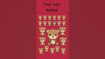 Find the Odd One Out | #math #riddles #animal #queddles #puzzle #canyouanswer #quiz #trendy