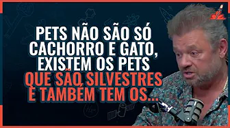 imagem do youtube