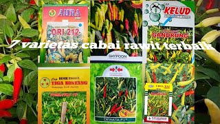 7 cabai rawit terbaik!! varietas paling di cari