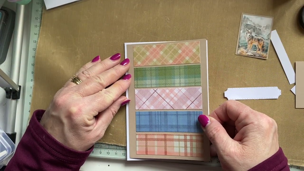 У меня есть полоски, они размножаются. 2026 #9 1-дюймовые мужские полоски