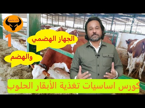 الجهاز الهضمي والهضم في الابقار (كورس أساسيات تغذية الأبقار الحلوب)