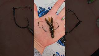 Neko Rigging the New X Zone Scented Stealth Craw 2.5"