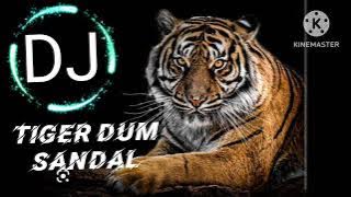 Tiger Dhun Sandal new version Bass (DJ Dhumal 