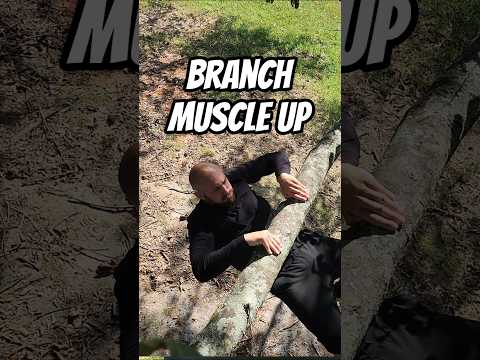 Kip Muscle Up onto Large Branch in Tree