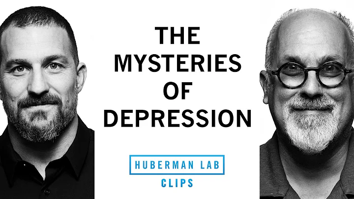 The Complexities of Treating Depression | Dr. David Linden & Dr. Andrew Huberman