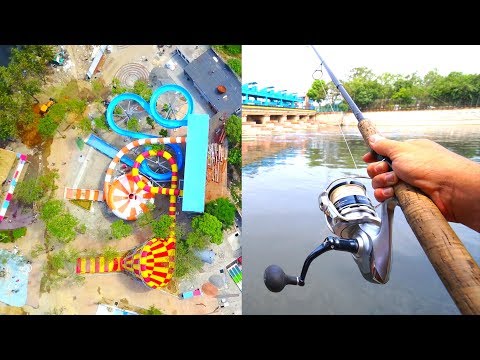 Catch A Fish Video
