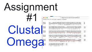 Clustal Omega Alignment
