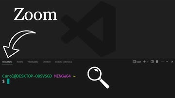 VS Code — Zoom Terminal with Mouse Wheel