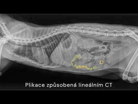 ผลสลากกินแบ่งรัฐบาล วันที่ 1 พย. 2567