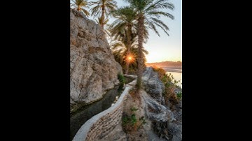 #يا-أخت-هارون#سورة-مريم#صوت_جميل