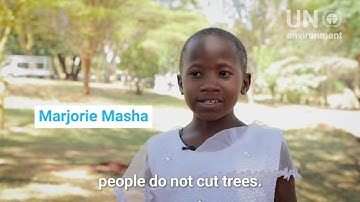 2019UNEA4 Video FNvideo 1