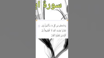 سورة ابراهيم | الآية ٣٤ | القارئ محمد صديق المنشاوي
