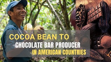 Top 10 Largest Cocoa Bean to Chocolate Bar Producers in American Countries Statistics 2020