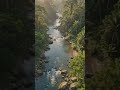 #riverside #river #nature #naturelovers #riversounds #natural #naturalbeauty #scenery #water