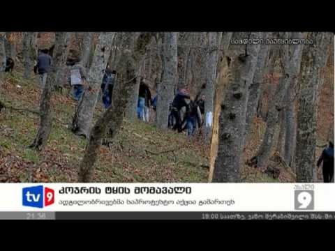 ახალი 9 | კოჯრის ტყის მომავალი | 01.12