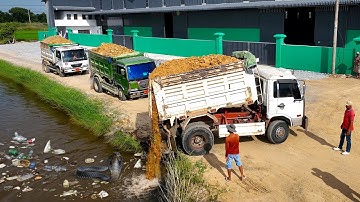 First Start a Wonderful Project! Delete Flooded Area Using Dozer D31P with Dump Truck Unloading