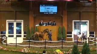 セレクトセール2012上場馬